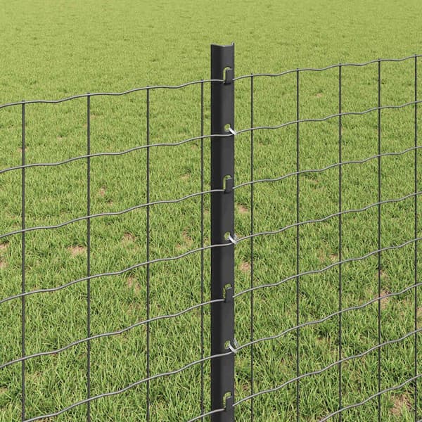 vidaXL Euro Staket med Stöd 10 x 0,8 m PVC-belagda stål Grå Mesh Grå
