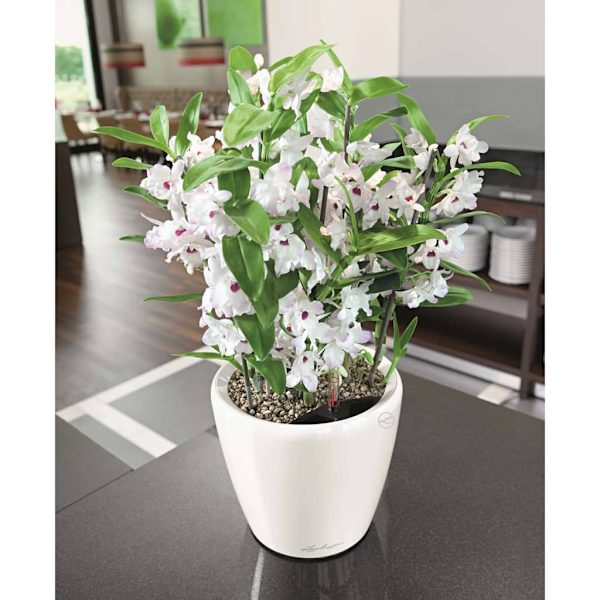 LECHUZA Blomkruka CLASSICO LS 28 ALL-IN-ONE vit högglans 16040 Vit