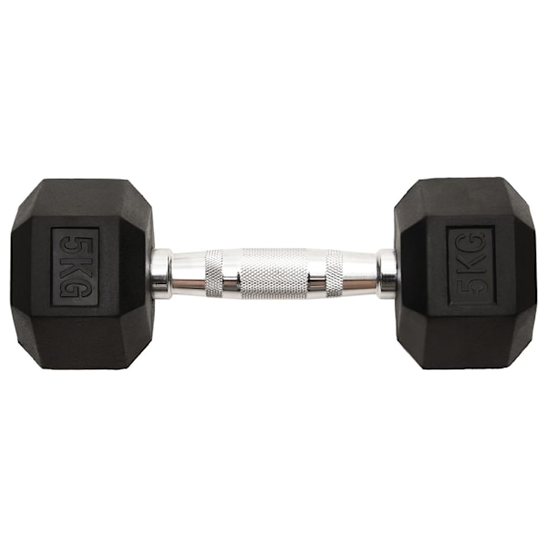 vidaXL Hantlar 2 st 10 kg gjutjärn