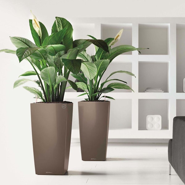 LECHUZA Blomkruka Cubico 40 ALL-IN-ONE högglans taupe 18215 Taupe