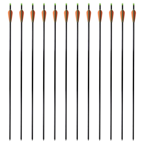 vidaXL Pilar i fiberglas för compoundbåge standard 30"" 0,8 cm 12-pack multifärg