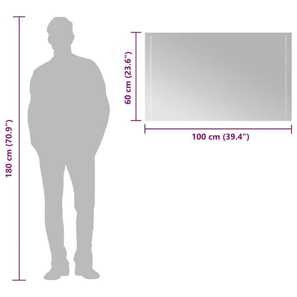 vidaXL Badrumsspegel LED 100x60 cm Transparent