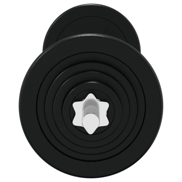 vidaXL Skivstång med vikter set 30 kg gjutjärn