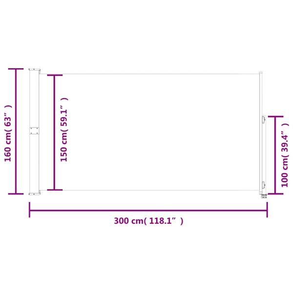 vidaXL Infällbar sidomarkis 160x300 cm brun Brun