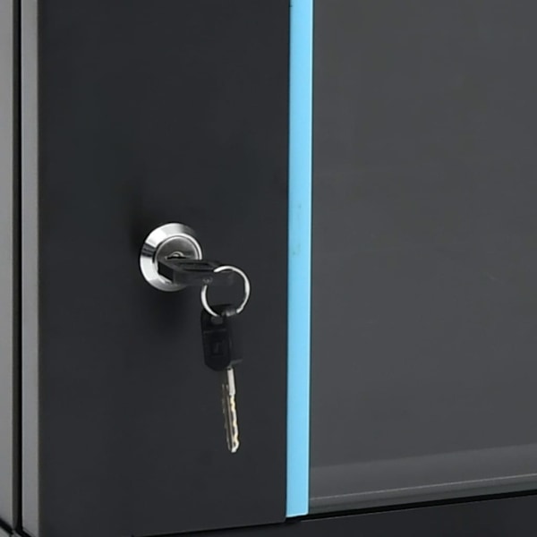 vidaXL 12U Nätverksskåp väggmonterat 19" IP20 600x600x640 mm Black