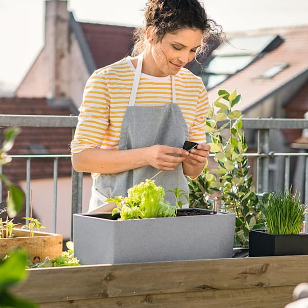 LECHUZA Odlingsenhet BALCONERA Stone 50 ALL-IN-ONE grå grå