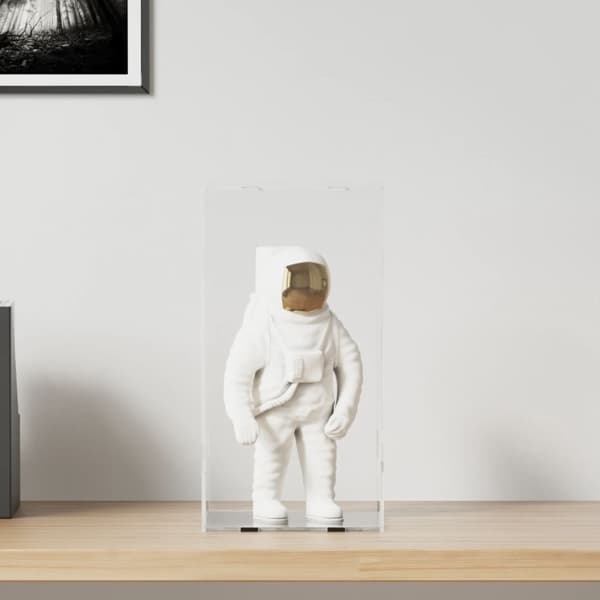 vidaXL Displaylåda transparent 20x20x38 cm akryl Transparent