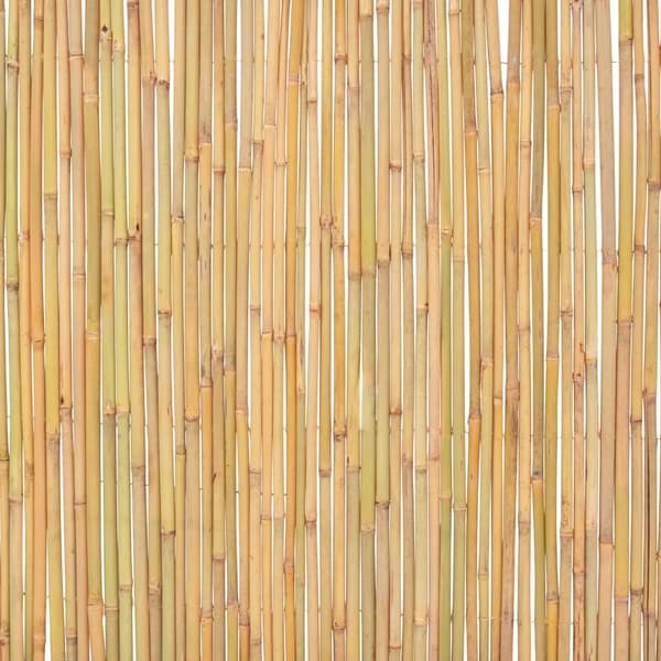 vidaXL Staket bambu 300x100 cm Brun