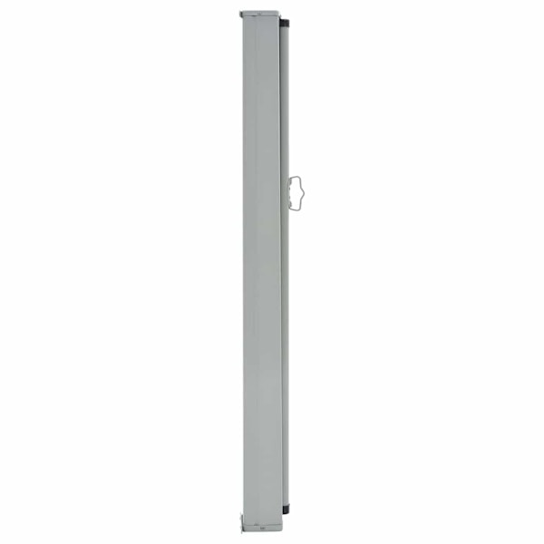 vidaXL Infällbar sidomarkis 100 x 300 cm svart Svart