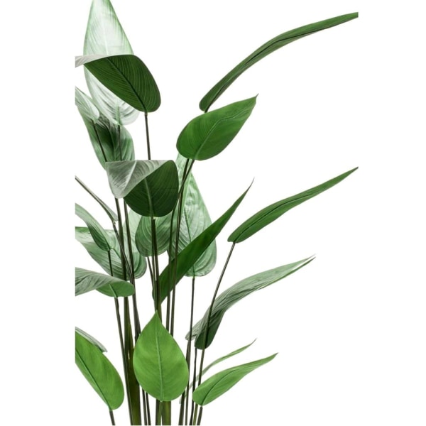 Emerald Konstväxt Heliconia grön 125 cm 419837 Grön