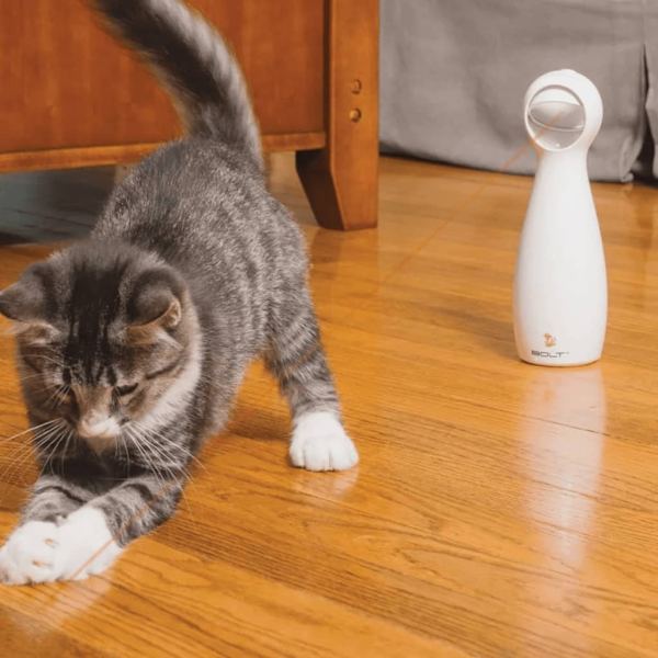 PetSafe Automatiskt laserljus FroliCat Bolt vit Vit