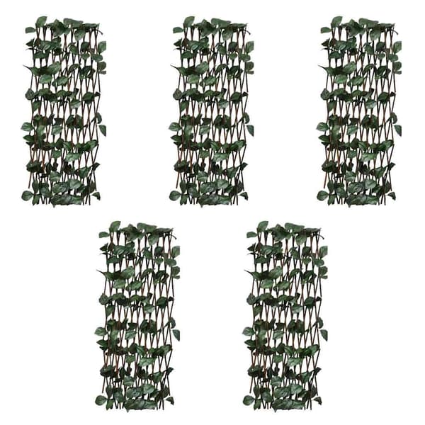 vidaXL Trädgårdsstaket Utdragbart Vide 180x90 cm 5-pack Brun