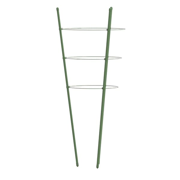 vidaXL Växtstöd med 3 ringar 5 st grön 75 cm stål