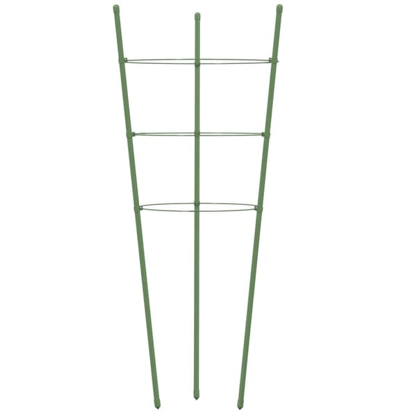 vidaXL Växtstöd med 3 ringar 5 st grön 75 cm stål