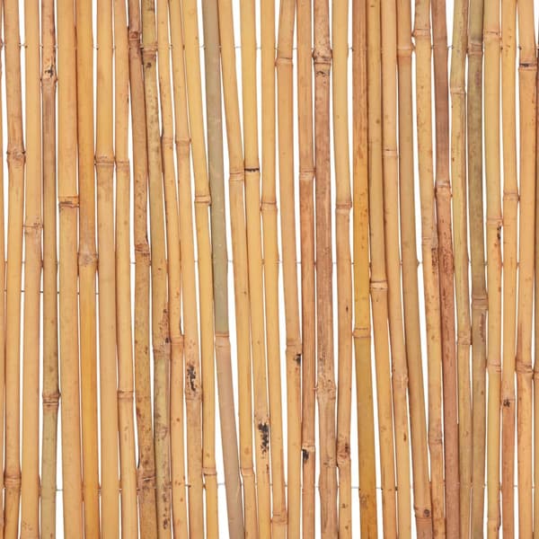 vidaXL Staket bambu 500x30 cm Brun
