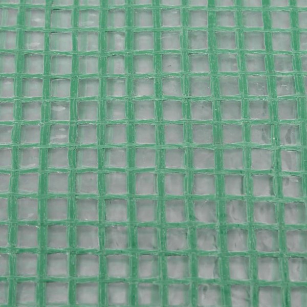 vidaXL Växthusöverdrag (0,5 m²) 50x100x190 cm grön Grön