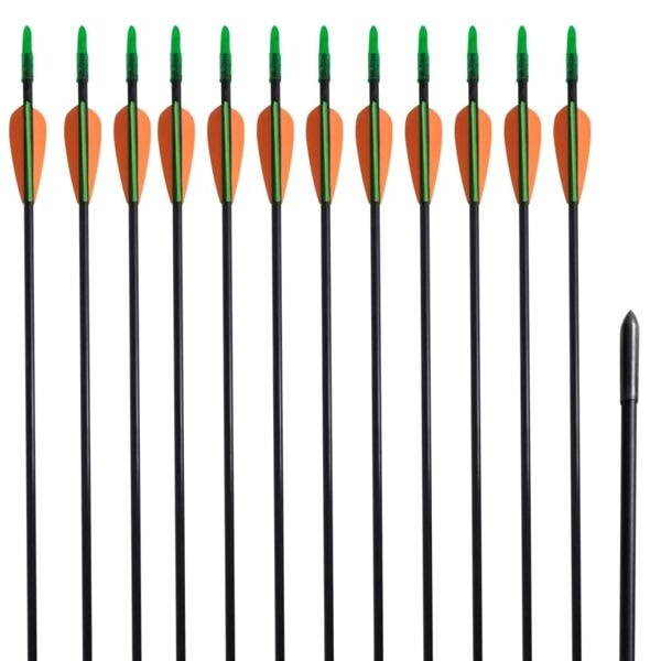 vidaXL Pilar i fiberglas för recurvebåge standard 30"" 0,6 cm 12-pack multifärg