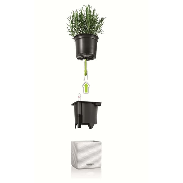 LECHUZA Blomkrukor 3 st Green Wall Home Kit vit Vit