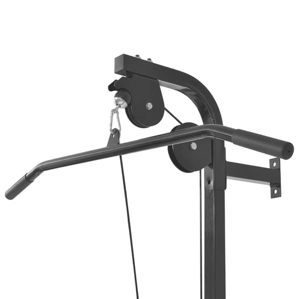 vidaXL Väggmonterat power tower med viktskivor 40 kg Svart