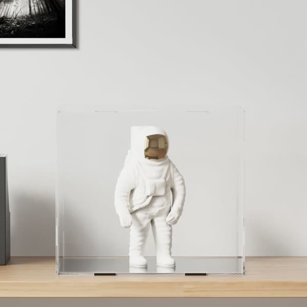 vidaXL Displaylåda transparent 40x36x35 cm akryl Transparent