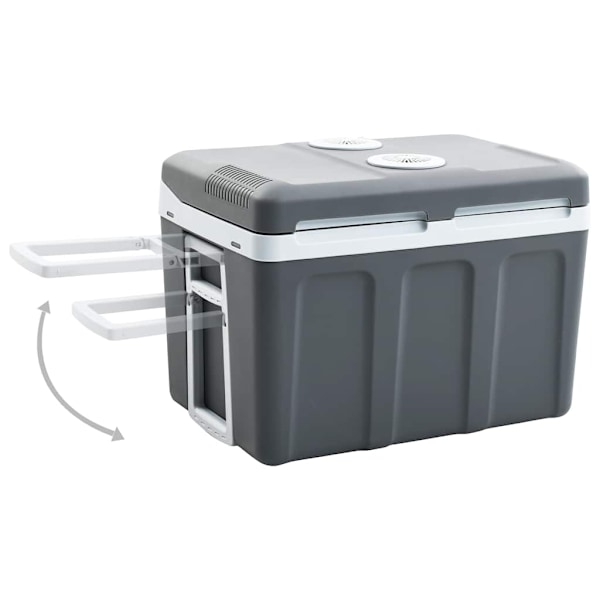 vidaXL Portabel termoelektrisk kylbox 40 L 12 V 230 V E grå
