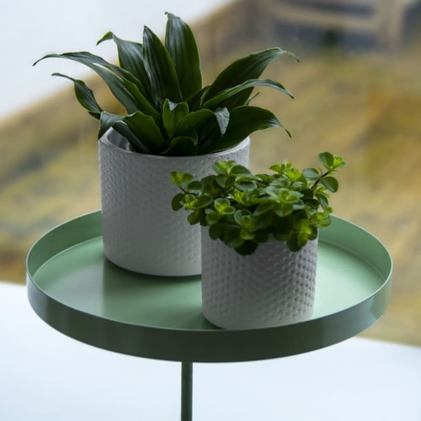 Esschert Design Växtbricka med klämma rund grön L Grön