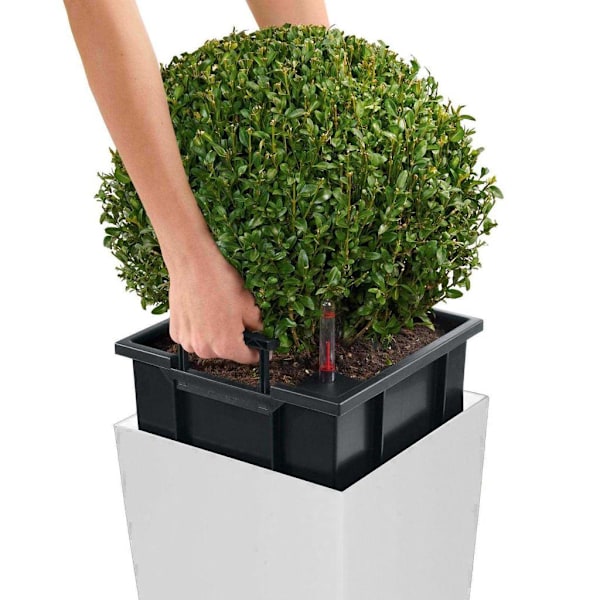 LECHUZA Blomkruka Cubico 30 ALL-IN-ONE vit högglans 18181 Vit