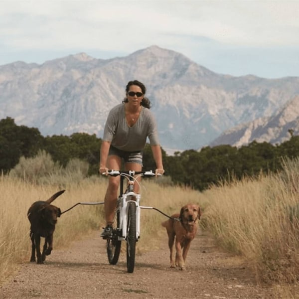 PetEgo Universellt hundkoppel för cykel Cycleash 85 cm multifärg