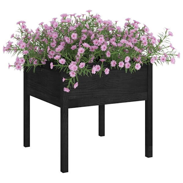 vidaXL Odlingslådor 2 st svart 70x70x70 cm massiv furu Svart