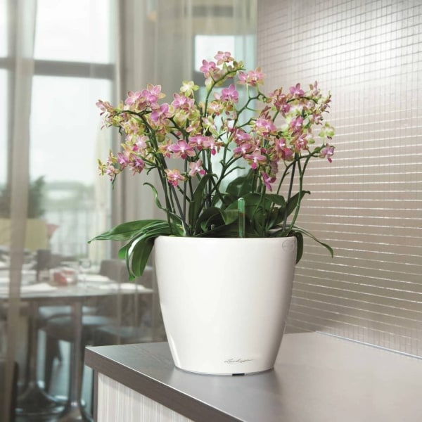 LECHUZA Blomkruka CLASSICO LS 28 ALL-IN-ONE vit högglans 16040 Vit