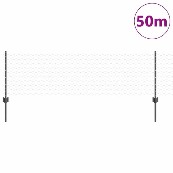 vidaXL Svetsat trådstängsel 50 x 0,6 m (B x H) PVC-belagda stål Grå Grå