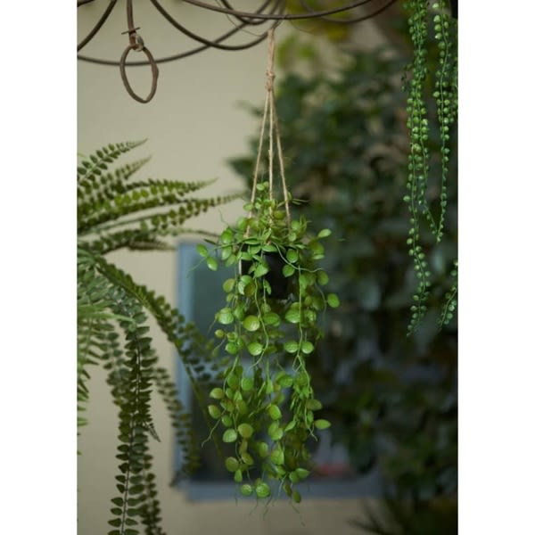 Emerald Konstväxt ceropegia i kruka hängande 50 cm Grön