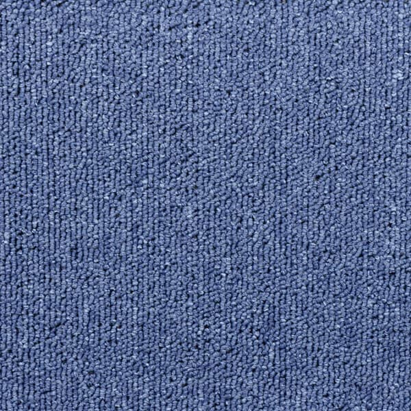 vidaXL Trappmattor 10 st 65x24x4 cm blå halvrunda stora Blå