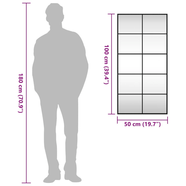 vidaXL Väggspegel svart 50x100 cm rektangulär järn Svart