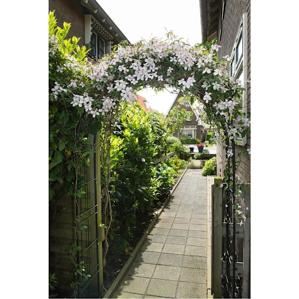 Nature Rosenbåge i svart metall 6040802 Svart