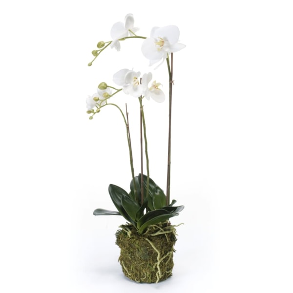 Emerald Konstväxt orkidé 70 cm vit Vit