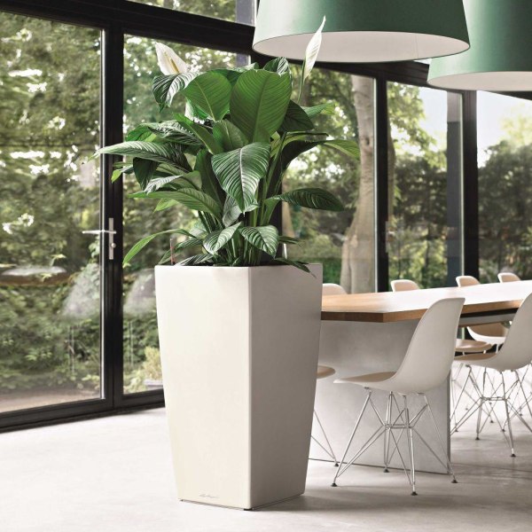 LECHUZA Blomkruka Cubico 40 ALL-IN-ONE vit högglans 18191 Vit