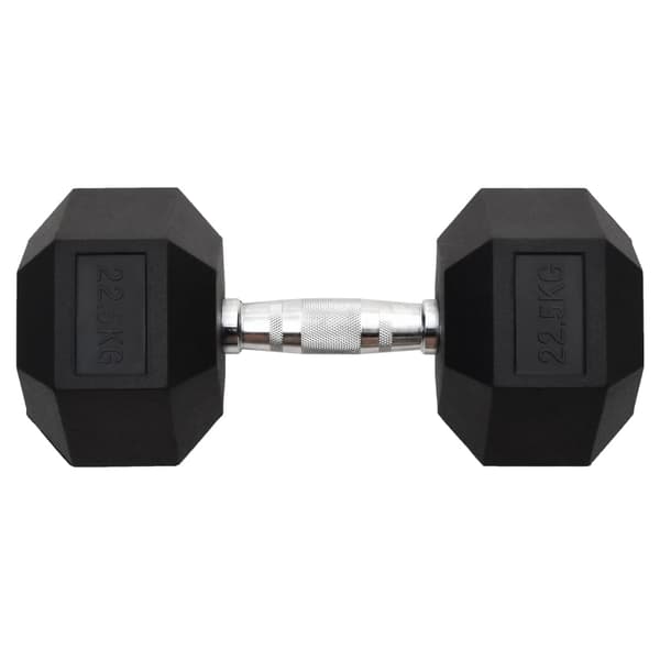 vidaXL Hantel 22,5 kg gjutjärn art