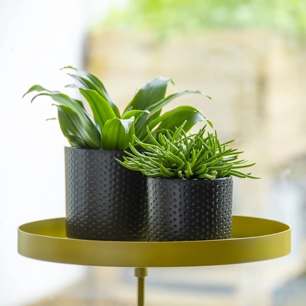Esschert Design Växtbricka med klämma rund guld L Guld