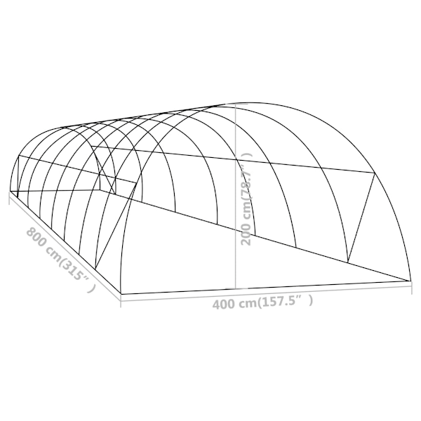 vidaXL Växthus 32 m² 8x4x2 m Grön
