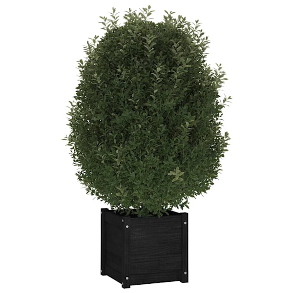 vidaXL Odlingslåda svart 40x40x40 cm massiv furu Svart
