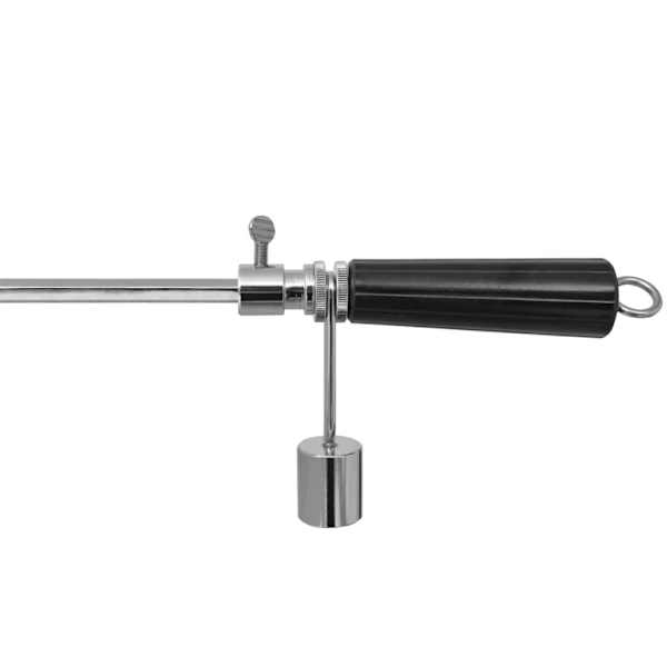 vidaXL BBQ-grillspett med professionell motor stål 1200 mm Silver