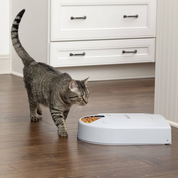 PetSafe Foderautomat för 5 måltider Eatwell med timer grå Grå