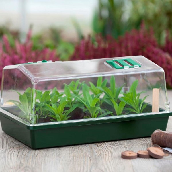Nature Miniväxthus 200 delar startkit Flerfärgsdesign