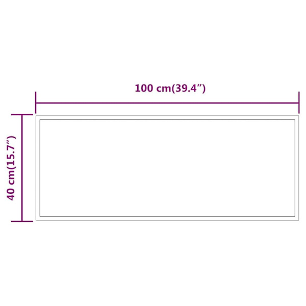 vidaXL Badrumsspegel LED 100x40 cm Transparent