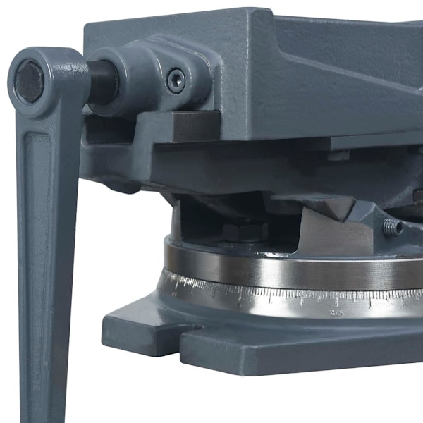 vidaXL Vinklingsbart skruvstycke 2 axlar 160 mm