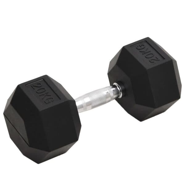 vidaXL Hantel 20 kg gjutjärn art