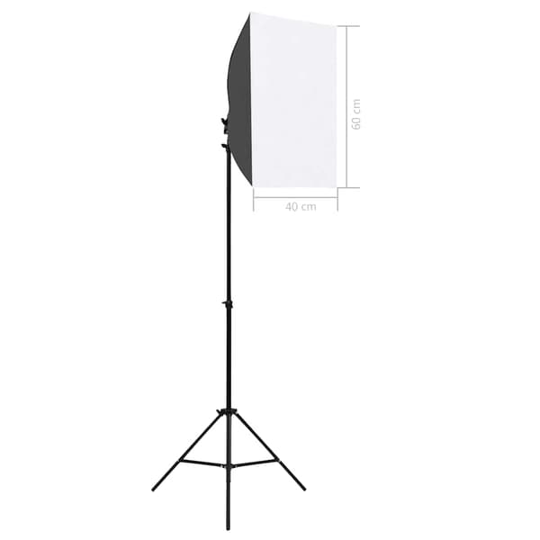 vidaXL Professionella studiolampor 2 st 40x60 cm stål svart Svart