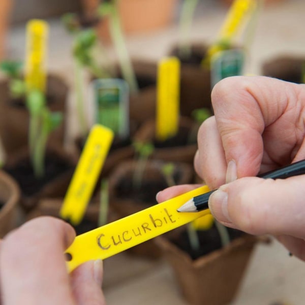 Nature Miniväxthus 200 delar startkit Flerfärgsdesign