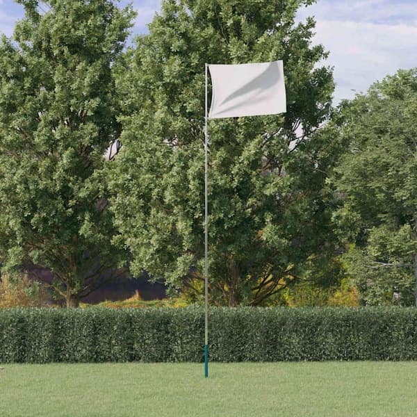 vidaXL Teleskopisk flaggstång silver 5,5 m aluminium